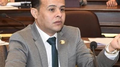 مدحت الكمار: تنصيب الرئيس لفترة رئاسية جديدة سيدفع بالوطن لمرحلة تنموية غير مسبوقة