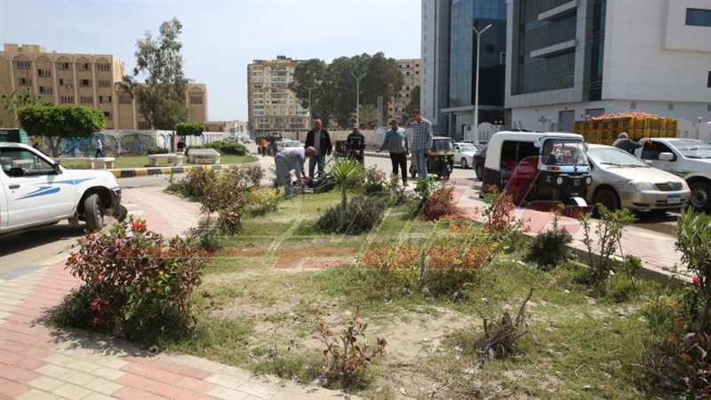 زراعة الأشجار