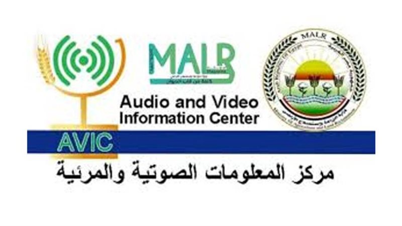 مركز المعلومات الصوتية