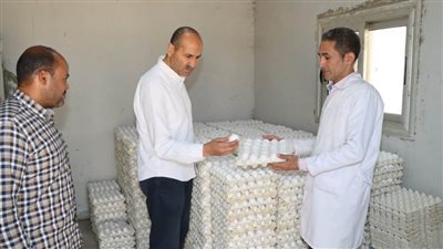 سكرتير بني سويف يتفقد مشروعات الدواجن المركزية شرق النيل