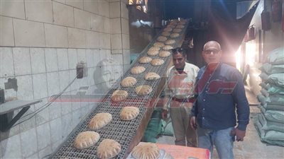 تحرير 15 محضرًا تموينيًا لأصحاب المحال التجارية والمخابز المخالفة بدسوق