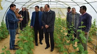 رئيس جامعة العريش يتفقد المزرعة الإنتاجية بالجامعة