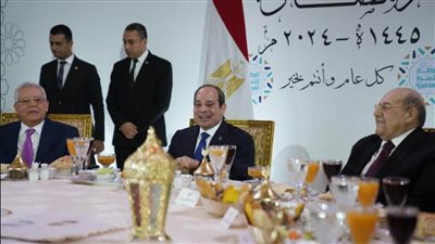 عضو إفريقية النواب: كلمة الرئيس السيسي لا تخرج إلا من رب الأسرة المصرية