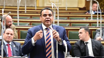 برلماني: كلمة الرئيس خلال حفل إفطار الأسرة المصرية تجسد رؤية قيادة واضحة وحكيمة