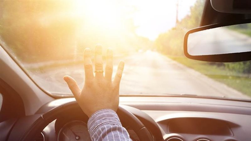 صورة أرشيفية- روزا