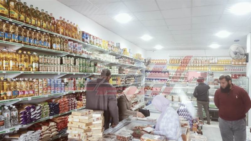 محافظ كفرالشيخ