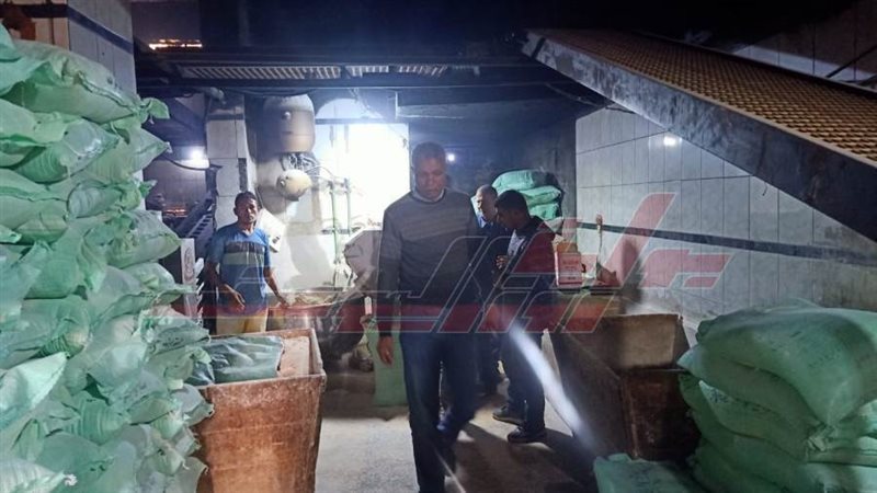 الحملات الرقابية