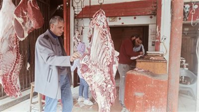 رقابة مشددة على منافذ بيع اللحوم والأسماك المملحة بكفر الشيخ 