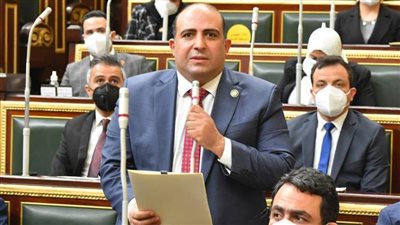 وكيل أفريقية النواب يشيد بالإفراج عن 3438 من مراكز الإصلاح بمناسبة العيد