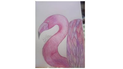 صفاء طه.. رسم بالفم 