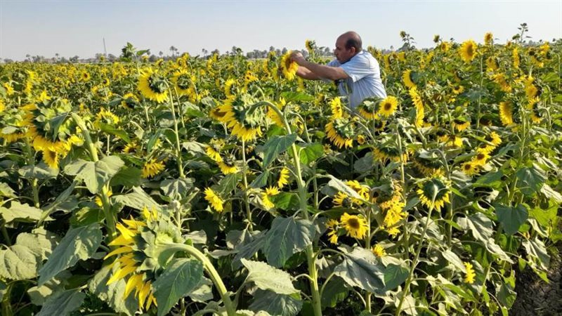 جانب من متابعة وزارة