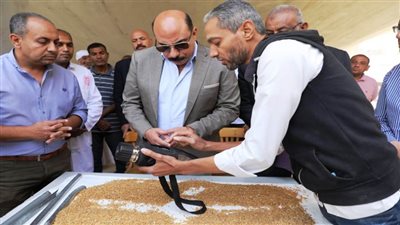 محافظ أسوان: بدء توريد محصول القمح واستلام بشائر الأقماح المحلية بصومعة الراجحى بتوشكى 