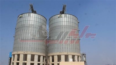 كفر الشيخ: 7 مواقع جاهزين لتجميع واستلام توريد القمح بدسوق