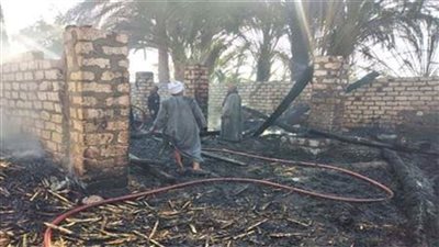 نفوق 11 رأس ماشية في حريق حظيرة بإحدى عزب سمالوط بالمنيا