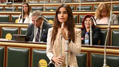 خارجية النواب: الرئيس السيسي أكد موقف مصر الحاسم بضرورة وقف إطلاق النار في غزة