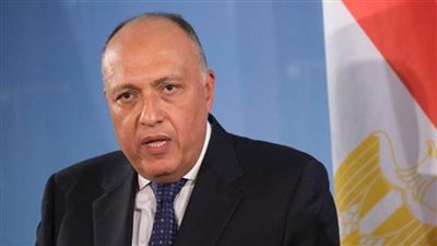 شكري: المحادثات بشأن وقف إطلاق النار في غزة لا زالت مستمرة