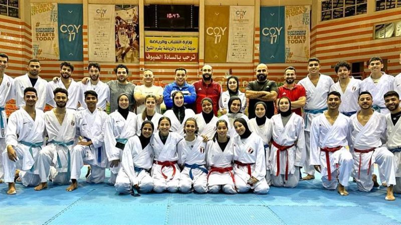 اللاعبين المصريين