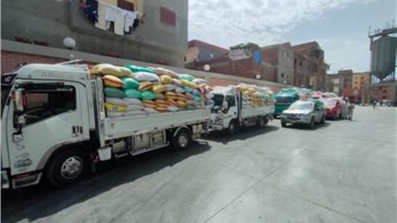 بوابة روز اليوسف