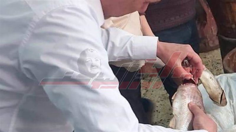 الفسيخ المضبوط