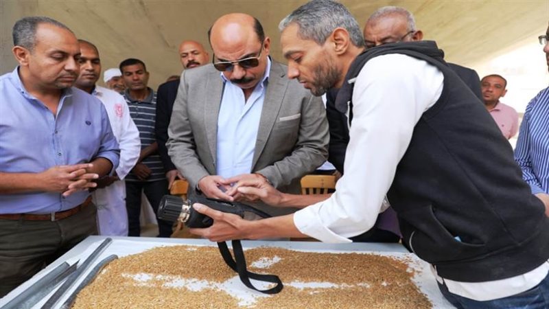 بدء توريد محصول القمح