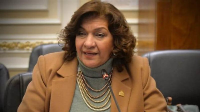 النائبة ايفلين متى