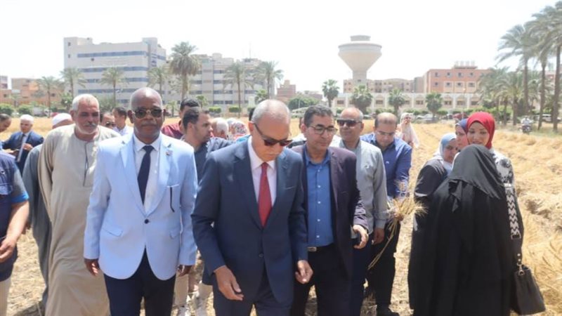 تفقد حصاد القمح