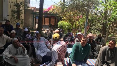 تنظيم ندوات إرشادية لزراعة القطن بكفر الشيخ