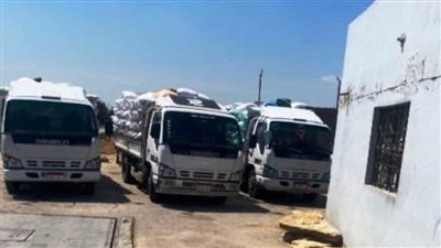 توريد 14741 طن قمح لـ56 موقعًا تخزينيًا بالشرقية 