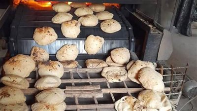 تموين القاهرة: حملة على مخابز المرج.. وتحرير 2217 محضر هذا الشهر