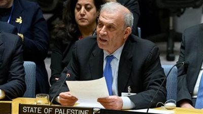 ممثل الرئيس الفلسطيني بالأمم المتحدة: لدينا الحق الكامل في تقرير المصير على أرضنا فلسطين