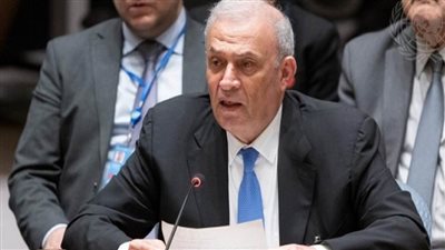 مُمثل رئيس فلسطين أمام مجلس الأمن: منح بلادنا عضوية كاملة بالأمم المتحدة يحمي حل الدولتين