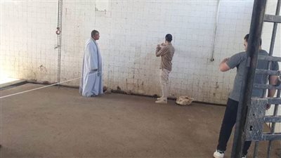 تمهيدًا لرفع كفاءته.. بيطري المنيا يعاين مجزر ملوي لتوفير لحوم آمنة
