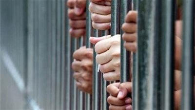 القبض على 3 أشخاص يحملون جنسية إحدى الدول العربية بتهمة الاتجار في الأقراص المخدرة بالقليوبية 