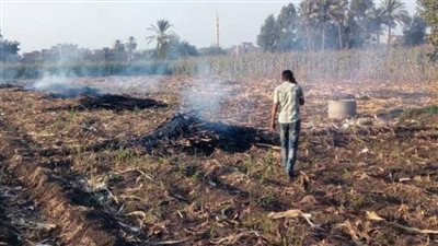 التفتيش على 1140 منشأة صناعية وتحرير 5893 محضر حرق مخلفات زراعية بالشرقية