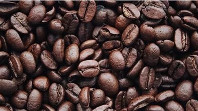 شعبة البن: 5 عوامل أساسية ترفع معدلات استهلاك المصريين من القهوة المختصة الفترة المقبلة