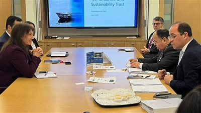 عاجل.. وزير المالية : تعاون مع «هندوجا الهندية» لتوطين صناعة السيارات الكهربائية فى مصر