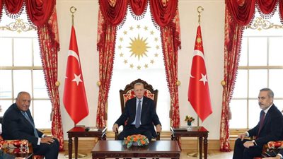 رسالة شفهية من الرئيس السيسي لنظيره التركي ينقلها وزير الخارجية