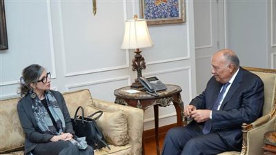 شكري والمقررة الأممية المعنية بحقوق الإنسان بفلسطين يؤكدان حتمية وقف الإعتداءات الإسرائيلية