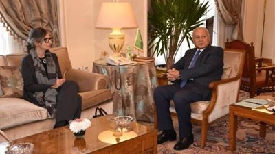 أبو الغيط: إسرائيل تسعى لكتم الأصوات التي تتحدث باستقلالية حول مجزرة غزة