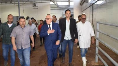 محافظ بورسعيد يؤكد أهمية المجزر الآلي بجنوب المحافظة وما يوفره من خدمة للمواطن