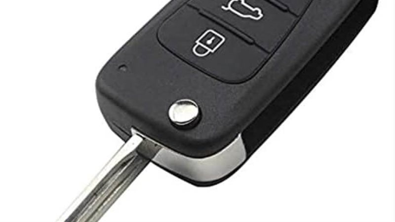 صورة أرشيفية روزا