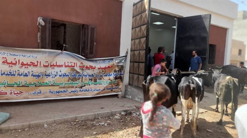 جانب من القافلة البيطرية