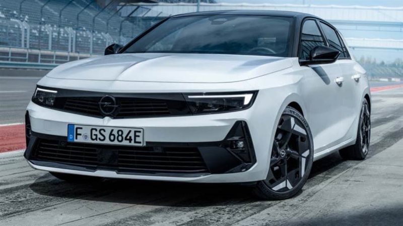 صورة أرشيفية روزا