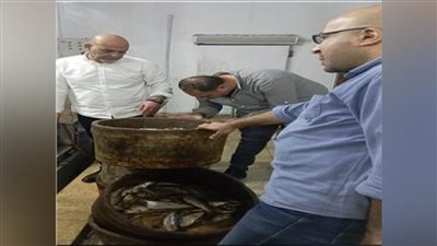 ضبط 700 ألف كيلو سمك سردين فاسدة قبل ”شم النسيم“ بالمنوفية