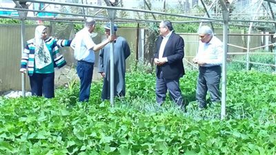 رئيس البحوث الزراعية يتابع رفع كفاءة الصوب الزراعية بمحطة بهتيم