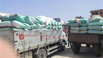 نورالدين: توريد 1427 طن قمح بصوامع وشون كفرالشيخ