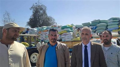 شون وصوامع البحيرة تستقبل 7545 طن قمح محلى مطابق للمواصفات بسهولة ويسر 