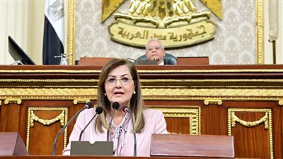 د. هالة السعيد للنواب: 179 مليار جنيه استثمارات موجهة لأنشطة الزراعة والري بخطة العام المالي القادم
