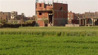 الجيزة تستجيب لشكاوى المواطنين وتزيل تعديات على الاراضي الزراعية بمنشأة القناطر