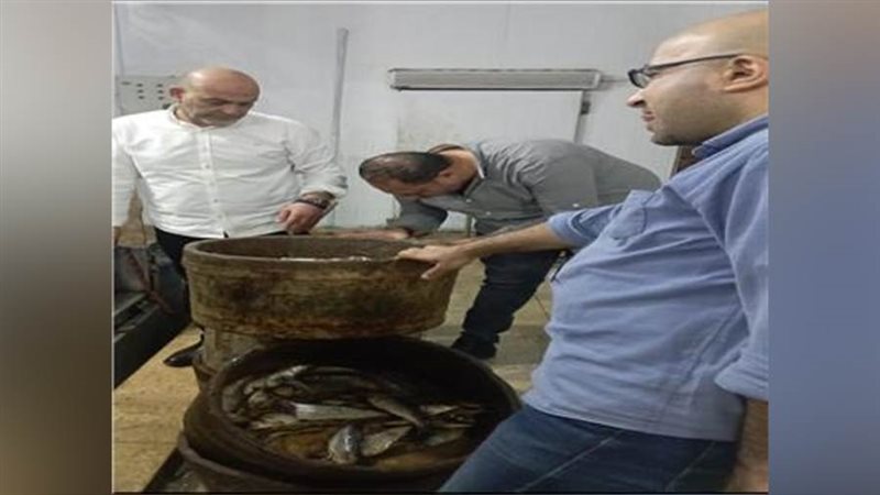 ضبط سردين فاسد